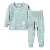 YANWANG 100% Baumwolle Baby Kinder Schlafanzüge Jungen Mädchen Pyjamas Set Langarm Nachtwäsche(Green-Zebra,Tag60/2-3 Jahre)