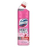 Domestos Kraft & Frische WC Gel Floral Fresh Reinigungsmittel mit frischem Blumen-Duft für hygienische Sauberkeit 750 ml 1 Stück