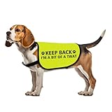 Lustige, reaktive Hundejacke mit Aufschrift 'Keep Back I'M A Bit Of A Twat'