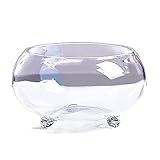 KKXXYQFC Aquarium, verdicktes transparentes Glasbecken, Schildkrötenbecken mit Unterstützung, kleiner Fuß, ökologisches Aquascape-Becken, Zuhause, Wohnzimmer, Büro, Desktop (Größe: M)