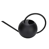 BSTCAR 1-Liter-Gießkanne aus Edelstahl, Moderne dekorative Gießkanne mit langem Auslauf für Zimmerpflanzen, Bonsai, Gartenblumen