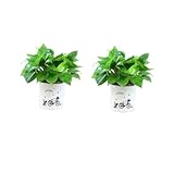 AKOOSY 2 STÜCK Selbstbewässernder Pflanztopf Kunststoff Kreativer Lazy Flower Pot mit Baumwollseil Wasserspeicher Blumentopf für Zimmerpflanzen und Sukkulenten