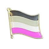 Regenbogen Lgbt Asexuelle Pride Gewellt Flagge Anstecker