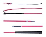 JA Horse Longierpeitsche Longier Peitsche Longieren 180/200 cm teilbar zerlegbar, zweiteilig, zum Zusammenschrauben (180 cm, JA Basic-Griff pink)