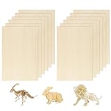 12 Stück 300x200x2mm Sperrholzplatte, Lindensperrholz,Dünne Blätter aus Balsaholz, Für DIY-Modellkunsthandwerk, Schnitzereien und Schiffsmodellbauprojekte