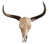 MichaelNoll Stierkopf Bullenkopf Stier Bullenschädel Geweih Hörner Wanddekoration Polyresin Riesig Groß - Moderne Wanddeko für Schlafzimmer oder Wohnzimmer - Deko Dekoration - XXL 73 cm