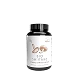 Pilze Wohlrab - Shiitake Pilze BIO Extrakt Kapseln - 60 Kapseln, 1 Dose, 350 mg Shitake Extrakt je Kapsel, Vitalpilze Extrakt, Vitamin C Acerola