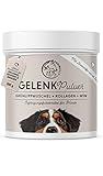 Annimally Gelenke Pulver für Hunde 300g mit MSM, Grünlippmuschel und Kollagen - Gelenkpulver mit Collagen für den Hund Alternative zu Tabletten