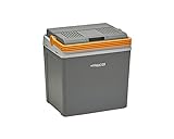 Aequator Tragbarer Kühlschrank, tragbare thermo-elektrische Kühlbox, 24 Liter, 12 V und 230 V für Auto, Thermoelektrische Kühlbox mit Kühl- und Warmhaltefunktion, für Auto, Boot und Camping, Steckdose