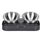 Futternapf für Hunde mit erhöhtem Ständer, 15 ° geneigte Platte