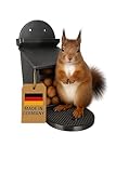 Schwarzes Eichhörnchen-Futterhaus aus Kunststoff– Witterungsbeständig mit Abnehmbarer Kunststoffscheibe, Belüftetem Innenfach & Rutschfester Sitzfläche – Stabil für Außenbereiche (Night Schwarz)