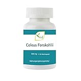 VED Coleus Forskohlii | Fördert gesunde Gefäßfunktion | 500 mg | 90 Kapseln