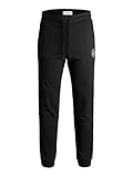 JACK & JONES Male Jogginghose Regular Fit Jogginghose