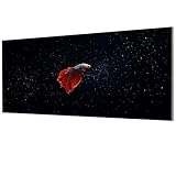 Fisch Malen Nach Zahlen Erwachsene Groß XXL 60x120cm, Malen Nach Zahlen Fisch DIY Farbe Acrylfarbe ölgemälde Set mit Pinseln für Zimmer Deko Wand Aesthetic, Geschenke für Frauen, Rahmenlos Model-1202