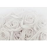 Runa Art Fototapete Blumen Rosen 352 x 250 cm Vlies Tapeten XXL Moderne Wandtapete Wohnzimmer Schlafzimmer Grau 9258011c