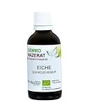 Bio Gemmo Mazerat EICHE