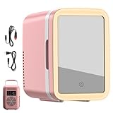 Generico Kühlschrank für Auto und Haushalt, Kühlbox zur Gesichtspflege | Kühlbox für die Hautpflege - tragbar für 4 Liter Kühl- oder Heizgeräte für Zuhause