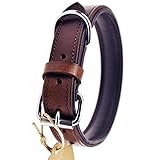 Schnüffelfreunde Halsband für Hunde aus Leder, Hundehalsband für den großen, mittleren und kleinen Hund, Lederhalsband gepolstert, robust (L - 36-45cm, Braun)