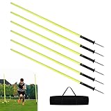 YZNAHRE 6er Slalomstangen Fussball Training Set, 150cm Slalom Stangen Sprunghafte Agilität Stangen mit Federgelenk & Erdspieß, Trainingsstangen Hürdenstangen für Koordinationstraining mit Tasche