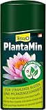 Tetra Pond PlantaMin Teichpflanzen-Dünger - für ein gesundes üppiges Pflanzenwachstum im Gartenteich, 500 ml Flasche