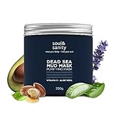 soul & sanity - Totes Meer Schlamm Gesichtsmaske mit Aloe Vera & Vitamin E, reinigende mineralreiche masken beauty zur Tiefenreinigung, nährende face care, Totes Meer Duft, 250 Gramm