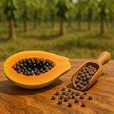 Ganze Papayasamen (Papayakerne) von naturverlesen - keine Hybride, naturbitter - aus kontrolliertem Anbau - sonnengetrocknete & naturbelassene Rohkostqualität (100g)