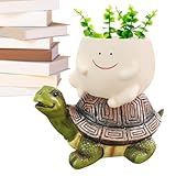 Di Zimmerpflanzen - 16x14 cm Harz Hauspflanzen | Niedlicher Gemüsepfanne, Charme Schildkröte Garten Dekoration für Bal