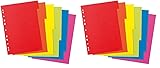 Herlitz 11078078 Kartonregister A4 aus Manilakarton, 6-teilig (Packung mit 2)