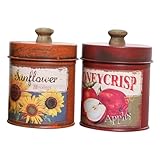 AKOOSY 2 Stück Retro Metallblumentopf mit Vintage Finish Stapelbarer Kleiner Pflanzeimer aus Kreativer Blumenhalter für Zuhause und Büro Dekorativer Übertopf in Orange und Rot