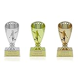 Zelaro Mini Pokal mit Gravur Wunschtext | Fussball Pokal Wanderpokal | Pokale Kindergeburtstag als Geschenk für Kinder, Frauen und Männer | Trophäe Mini Pokal Fussball Cup in 3 Farben | 12cm (Gold)