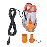 Tauchpumpe Edelstahl Rot Kupfer Isolierter Draht 300W für industrielle DC12V Konfiguration