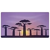 VAPOKF Purple Dusk Baobab-Silhouette Küchenmatte, rutschfest, waschbar, Bodenteppich, saugfähige Küchenmatten, Läufer, Teppiche für Küche, Flur, Waschküche