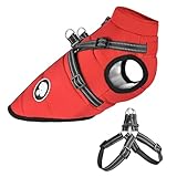 Hundejacke mit Geschirr, Wasserdichter Warmer Hund Wintermantel für Kleine Mittel GroÃŸe Hunde, Hundemantel für Labrador Chihuahua Französische Bulldogge