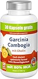 Garcinia Cambogia mit 80% HCA,1890mg Garcinia,120 vegane Kapseln: Premium ANGEBOT!!bestes Preis-Leistungsverhältnis,extrem hohe Bioverfügbarkeit,hoch dosiert,rein natürlich