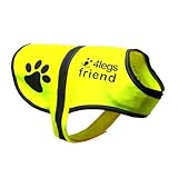 4LegsFriend Hunde Sicherheitsweste mit Leinenbefestigungsring 5 Größen - Hohe Sichtbarkeit für Outdoor Aktivitäten Tag und Nacht, Hält den Hund Sichtbar, Sicher vor Autos und Jagtunfällen (XL)