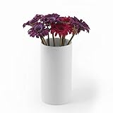 Holst Porzellan RV 020 Porzellanvase Röhre 20 cm, weiß, 10 x 10 x 20 cm