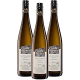 Oberkircher Winzer Gewürztraminer Auslese - COLLECTION OBERKIRCH - ein aromatischer Wein mit ausgeprägten Düften nach Rosen und Nelken - Badischer Wein, Anbaugebiet Ortenau (3 x 0,375l)