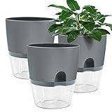 Muzhira Blumentopf Plastik, 3 stücke 15.3cm Kräutertopf mit Selbstbewässerung und Wasserspeicher, Moderne Pflanztopf für Zimmerpflanzen, Blumen und Kräuter - Grau