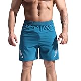 OLIns Mens Breathable Shorts Active Wear Quick Dry Outdoor Running Sport Athletic Gym Joggers (Teal blue,L)