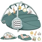 Spielmatte Baby mit Spielbogen, Vanplay Spieldecke Baby mit Bogen, Rutschfest Spieldecke Greifspielzeug Baby Stoffbuch, 6 Abnehmbaren Babyspielzeug, Geschenk Neugeborenes Junge Mädchen