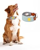 Woolly Wolf Alpha 360 Halsband für kleine Hunde Gr. S Gletschergrün - Nachhaltig & bequem, Reflektierend für erhöhte Sicherheit bei schlechter Sicht