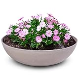 matches21 HOME & HOBBY Pflanzschale für draussen in Sand-Farben marmoriert 30 x 9 cm als wetterfeste Blumen-Schale