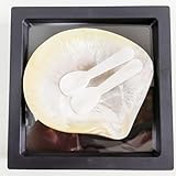 Kaviar Servierset - Kaviarlöffel - Perlmutt-Löffel-Set mit Geschenkbox Verpackung - Servieren von Kaviar Eiern und Dessert