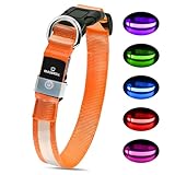 Leuchthalsband Hund, Hundehalsband Leuchtend Aufladbar, LED Halsband für Hunde Leuchtband Einstellbar Wasserdicht mit 3 Lichtmodi Sicherheit für Kleine Mittlere Große Hunde, Orange M