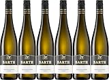 Holger Barth Grauburgunder 2024 Feinherb (6 x 0.75 l)
