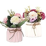 Lostwry 2PCS Künstliche Blumen im Topf Kunstblumen Pflanzen zur Dekoration Hortensien Seidenblumen Blumensträuße mit Keramikvase Kunstpflanze deko für Home Party Büro Hochzeit Tischdekoration