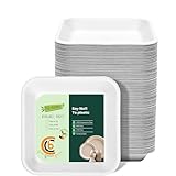 camp county beyond Einweg-Pappteller, 100 % kompostierbar, quadratisch, 15,2 cm, Zuckerrohr-Bagasse, biologisch abbaubar, natürlich, umweltfreundlich, Dessert-Pappteller, 15,2 cm, robuster