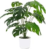 Monstera Kunstpflanze im Topf, Künstliche Blattpflanze Splitphilo Pflanzen Plastik Tropische Palme Grünpflanze Deko für Haus Wohnzimmer Schlafzimmer Büro Tischdekorationen (Monstera-60cm)