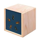 Fabulous Holzkiste – Käfer, Pentagon, Insekten, Biologie, alte Illustration (10 x 10 x 10 cm)
