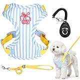 Verstellbares Hundegeschirr und Leine, weiches Netzgewebe, Welpengeschirr, mit Clicker-Training, kein Ziehen, leicht, atmungsaktiv, sicher und bequem, für kleine Hunde
